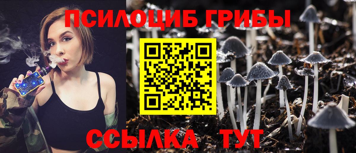 Галлюциногенные грибы Magic Shrooms Минусинск