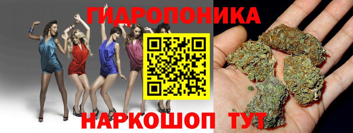 Бошки Шишки Amnesia  Бошки Шишки AK-47  Минусинск  Вход с VPN 